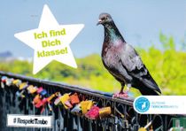 26942 - Deutscher Tierschutzbund 