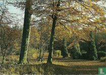 Afb. bos / Groeten uit Heerde