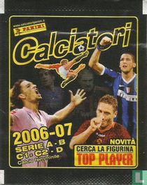 Calciatori 2006-2007 album pictures catalogue