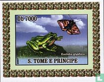 Grenouilles et papillons