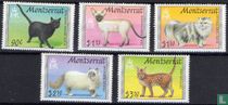 Katten