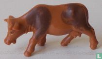 Koeien grazen / bruin