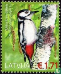Oiseaux