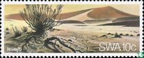Namib-Wüste 
