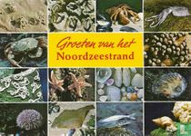 Groeten van het Noordzeestrand