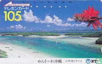 Okinawa - Kabira Bay and Deigo Flower