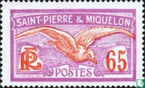Seagull