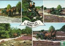 Groeten uit Elburg (Vel.)