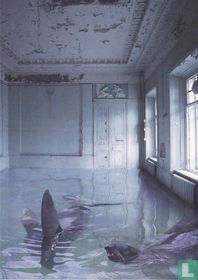 Andrey Budaev - The room