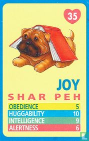 Joy - Shar Peh