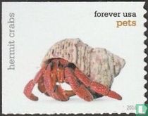 Hermit crabs
