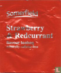 Somerfield sachets de thé catalogue