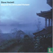 Beyond the shrouded horizon