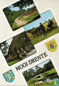 Mooi Drente 