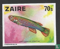Poissons