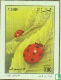 Insectes