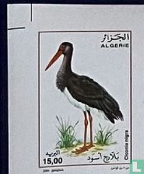 Vogels