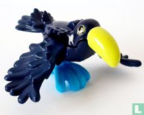 Toucan