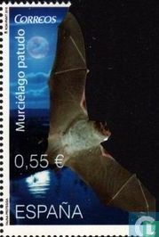 Bat