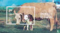 Farm animals 