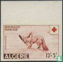 Red Cross