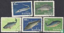 Fische kaufen