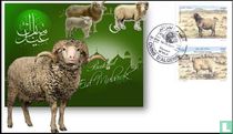 Sheep