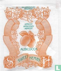 Albicocca