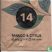 Mango & Citrus 