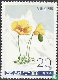 Bergblumen  kaufen