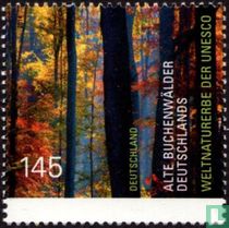 Forêts primaires de hêtres acheter