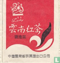 Yunnan Tea I/E Corp China sachets de thé catalogue