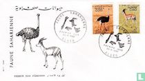 Animaux du Sahara