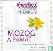 Mozog a Pamät