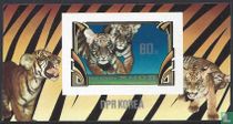 Tigres acheter