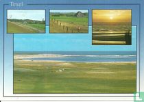 Texel