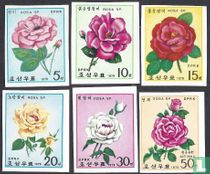 Rozen 