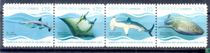 Marine fauna