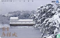 Wintertime - Hikone Castle - National Treasure