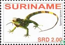 Groene leguaan