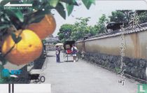 Hagi - Rickshaw and Old Street