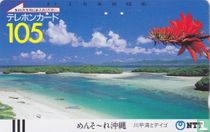 Okinawa - Kabira Bay and Deigo Flower