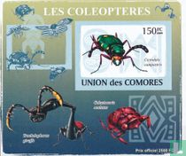 Coléoptères  