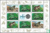 Grenouilles et crapauds
