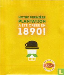 Notre Première Plantation  