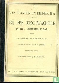 Bij den boschwachter 