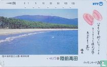 Beach & Seashell