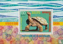 South American animals for sale