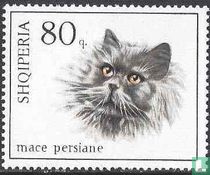 Chats 