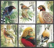 Des oiseaux